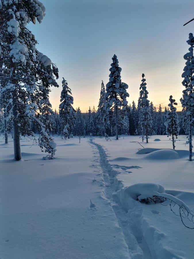 Villanorva Saarenkylä Exteriör bild