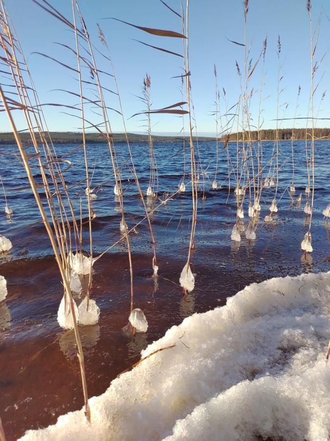 Villanorva Saarenkylä Exteriör bild